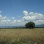 The impressive landscapes of La Mancha, photo shot from the car